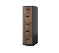Jan Nowak Armoire pour Dossiers Suspendus Métallique avec 5 Tiroirs Revêtement en Poudre Tôle d'acier (Anthracite/Imitation Bois)