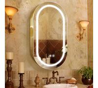 Janboe Armoire à pharmacie ovale avec lumière, miroir LED, doré | Prise USB pour rasoir, lumière interne, acier avec revêtement en poudre, charnière à fermeture douce, 50,8 x 81,3 cm