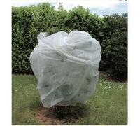 Jany Voile d'hivernage 60g/m² - 2x10 m - En polypropylène non tissé - blanc G