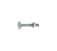 Japy 10x180 mm Boulon pour bois tête ronde collet carré boîte 25