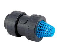 jardiboutique - ø 32-1 Pouce, crépine avec clapet Anti-Retour en PVC