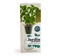 Jardin autonome basilic grand vert bio