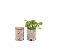 - jardin en boite modern basilic