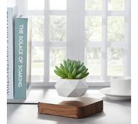 Jardin en lévitation hexafly bois foncé