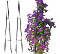 Jardin Pergola Metal Pergola De Fleurs 120Cm - Set De 2 Pièces