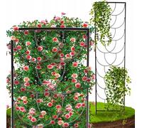 Jardin Pergola Support pour rosiers Échelle 200 cm - Stable - Métal - Set de 2 pièces