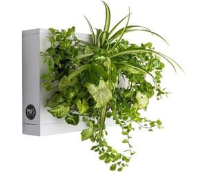 Jardin vertical - 1 plante murale verticale blanche pour 6 plantes et mousse de sphaigne