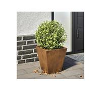 Jardinière 30x30x30 cm acier corten, jardinière d'extérieur, boîte à fleurs, boîte de jardin, jardinière de patio, 851050