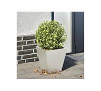 Jardinière 30x30x30 cm acier inoxydable, jardinière d'extérieur, boîte à fleurs, boîte de jardin, jardinière de 851046