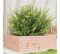 Jardinière 70x70x23 cm bois massif douglas Rose G