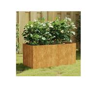 Jardinière 80x40x40 cm acier corten G