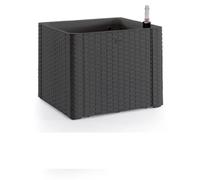 Jardinière à arrosage automatique Natural Deluxe 35 l, anthracite