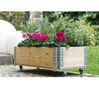 Jardinière à roulettes PRIMULA, 40 x 80 x 28 cm, avec panneaux en pin et coins e