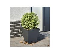 vidaXL Jardinière anthracite 30x30x30 cm acier