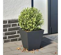Jardinière anthracite 30x30x30 cm acier anthracite G