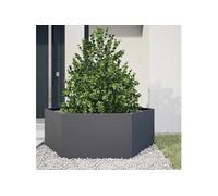 vidaXL Bac à plantes hexagonal anthracite 138x120x45 cm acier