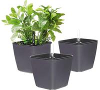 Jardinière auto-arrosante avec indicateur de niveau d'eau - 13 cm - lot de 3 - Pot de fleurs moderne pour l'intérieur et l'extérieur