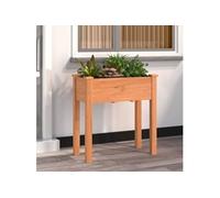 vidaXL Jardinière avec Doublure Marron 71x37x76cm Bois Massif de Sapin, lit surélevé, Pot de Fleurs, Support de jardinière, bac à Fleurs