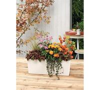 Jardinière Balcon LECHUZA Balconera Color 50 ALL-IN-ONE, Blanc, 50 cm