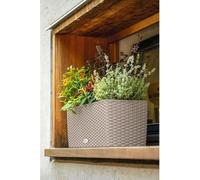Jardinière Balconnière LECHUZA Cottage 50, 50 x 19 x 19 cm, 8 L, Kit Complet, Brun Sable