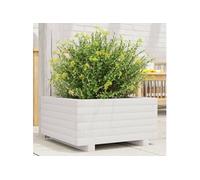vidaXL – Bac à plantes – Blanc – 50x50x26,5 cm – Pin massif