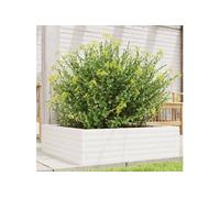 vidaXL – Bac à plantes blanc 80x80x23 cm en pin massif