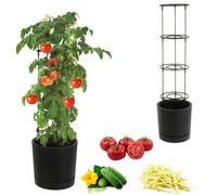 Jardinière - Botle - Ø 30 Cm - Anthracite - 14,5 Litres - Plantes Grimpantes Multicolore