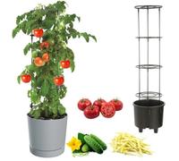 Jardinière - Botle - Ø30 Cm - Gris Pierre - Plastique Haute Qualité - Résistante Intempéries Multicolore