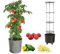 Jardinière - Botle - Ø30 Cm - Plastique De Haute Qualité - Gris Béton - Extensible Multicolore