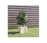 Vidaxl Jardinière D'extérieur Blanc 31x31x31 Cm Bois De Pin Massif Blanc