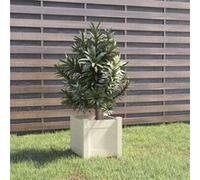 vidaXL Jardinière d'extérieur 31x31x31 cm Bois de pin massif Blanc