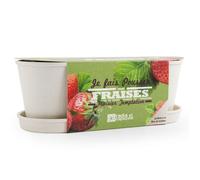 Jardinière de culture - RADIS ET CAPUCINE - Kit Fraisiers Temptation F1 - Fibres de bambou - Prêt à l'emploi - Biodégradable