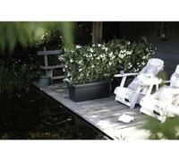 Jardinière Elho Green Basics XXL, 29,5 x 59,2 x 27,7 cm, Extérieur, Noir