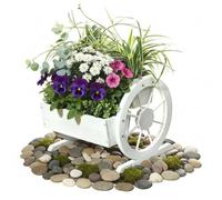 Jardinière en bois + chariot roues Décoration de jardin Auge Boîte en bois Fleur Blanc