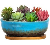 Jardinière en céramique Unyqoos®, rectangulaire, 20 x 9 x 6 cm – avec orifice de drainage et bac de récupération, pour intérieur et extérieur, idéale pour les succulentes, les cactus et les herbes aro