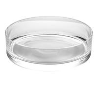 Jardinière en Verre Ronde Décorative pour Hydroponie et Aquarium | Verre Transparent, Haute Clarté et Finition Délicate, pour Plantes ou Poissons, Décor de Bureau