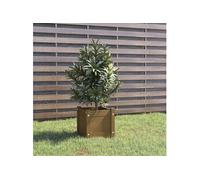 vidaXL Jardinière extérieur - Marron miel
