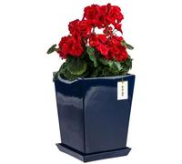 Jardinière - Grenade Haut - Céramique Émaillé - 29.5x34 Cm - Carré - Avec Soucoupe Multicolore