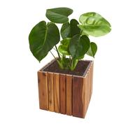 Jardinière Hwc-L24, Jardinière Pot De Fleur, Carré 32x32x32cm Outdoor Acacia Bois Certifié Mvg, Brun Marron