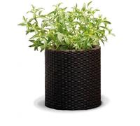 Jardinière - Keter - Grande Ronde - Marron - Plastique - Percé