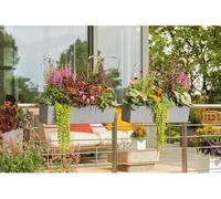 Jardinière LECHUZA Balconera Stone 80, 79 x 19 x 19 cm, 12 L, Kit Complet, Gris Pierre