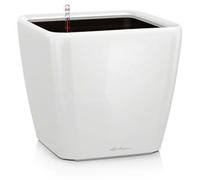 Lechuza - Pot de Fleurs d'Interieur - Premium Quadro Ls - Réserve d'Eau Intégrée - Coloris Taupe - 43 x 43 x 40 cm