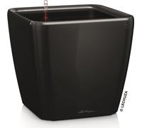 Jardinière LECHUZA QUADRO Premium LS 35 rouge écarlate brillant | Jardinière avec système d'arrosage | Surface brillante | 35,5 x 35,5 x 32,5 cm | 16167