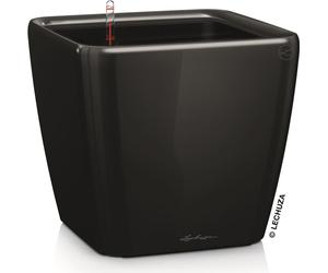 Jardinière LECHUZA QUADRO Premium LS 35 rouge écarlate brillant | Jardinière avec système d'arrosage | Surface brillante | 35,5 x 35,5 x 32,5 cm | 16167