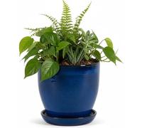 Jardinière modèle « EggPot » 38 cm en céramique bleu royal avec soucoupe