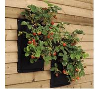 Jardinière murale verticale noire monobloc, idéale pour les fleurs, fraisiers, pommes de terre et autres pots de fleurs.