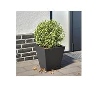 Vidaxl Jardinière Noir 30x30x30 Cm Acier