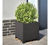 Vidaxl Jardinière Noir 40x40x40 Cm Acier