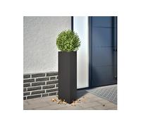 vidaXL Jardinière d'extérieur Triangulaire 30x26x75 cm Acier Noir