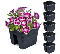 Jardinière - Noname - 5x Potting Box - Anthracite - 27.2 Cm - 8.5 L Multicolore